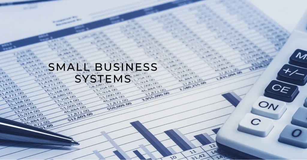 Small Business Systems