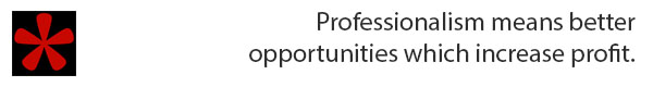 Professionalism mean opportunities text banner